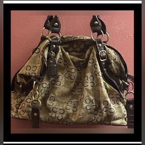 COACH ASHLEY SATCHEL